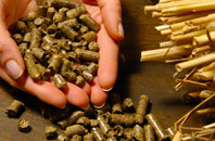 free Seathorne biomass boiler quotes
