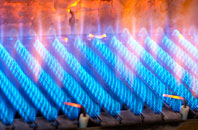 Seathorne gas fired boilers